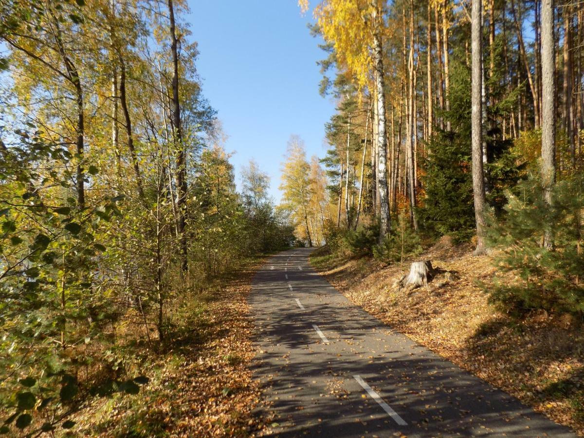 Vila Rozinka Lipno Lipno nad Vltavou Ngoại thất bức ảnh